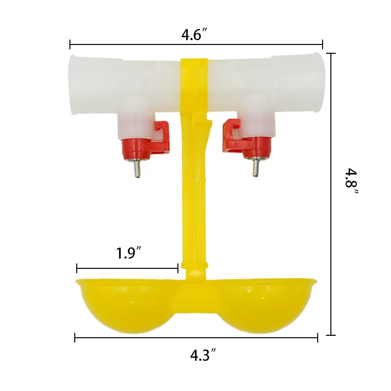 5/10/20Pcs Chicken Double Head - đánh giá và giá Zwitsal Baby Products