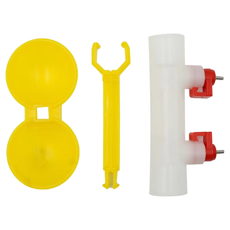 5/10/20Pcs Chicken Double Head - đánh giá và giá Zwitsal Baby Products