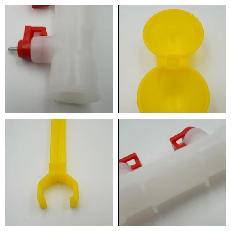 5/10/20Pcs Chicken Double Head - đánh giá và giá Zwitsal Baby Products